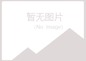 廉江紫山律师有限公司